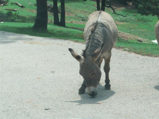 618x457 pixels (51K)