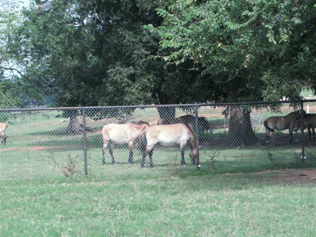 618x457 pixels (84K)