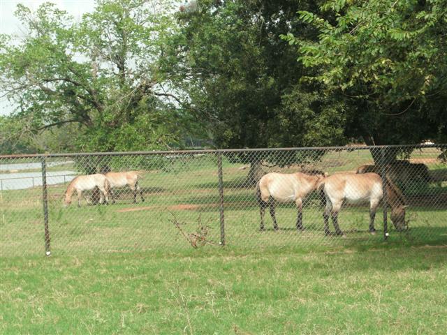 618x457 pixels (85K)