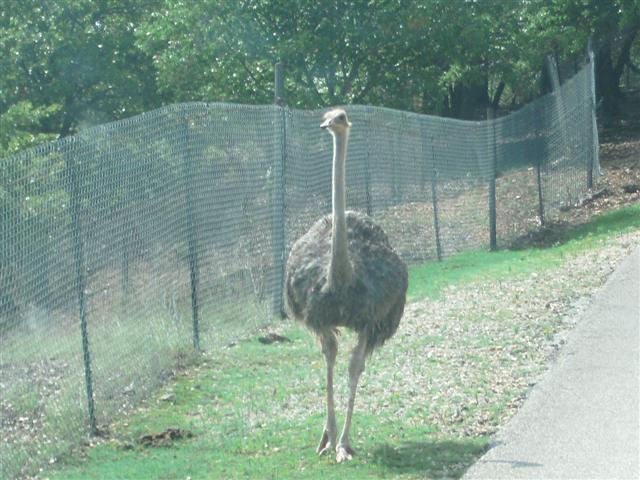 618x457 pixels (67K)