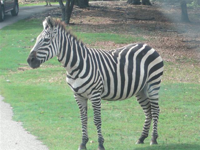 618x457 pixels (69K)