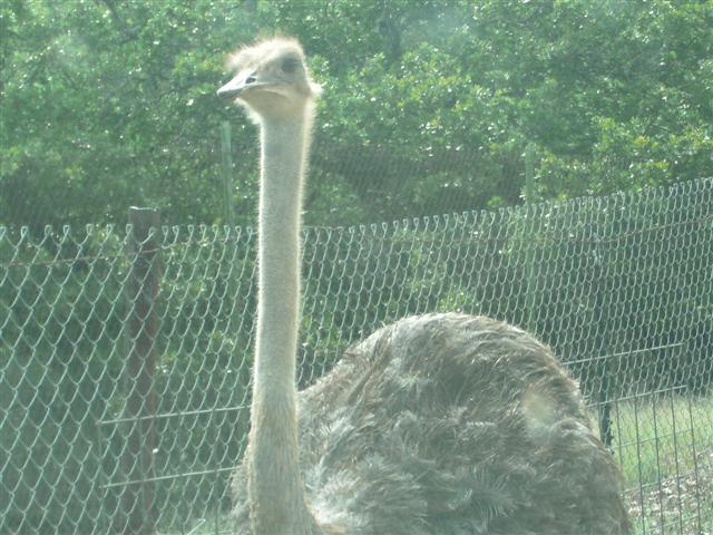 618x457 pixels (72K)