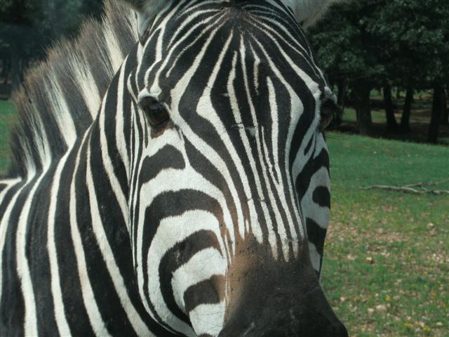 618x457 pixels (65K)