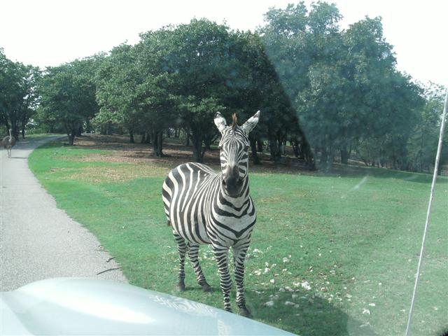 618x457 pixels (61K)