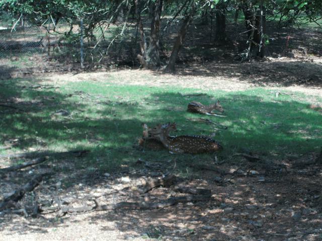 618x457 pixels (75K)