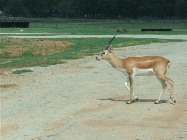 618x457 pixels (42K)