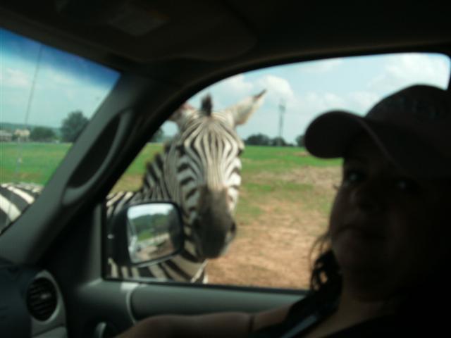 618x457 pixels (29K)