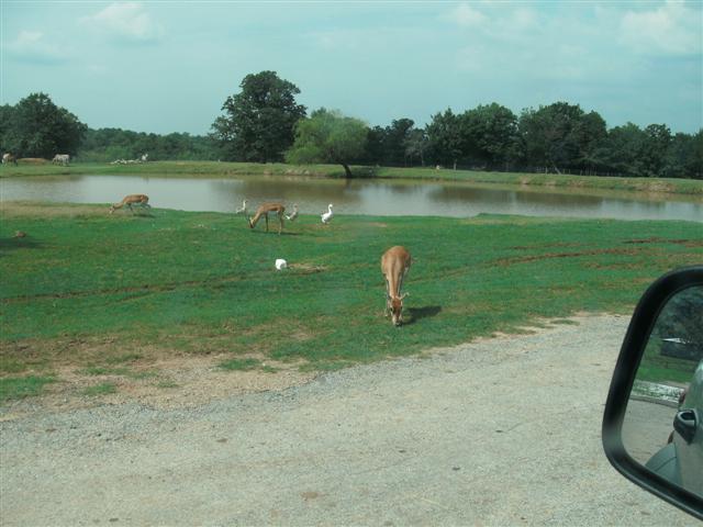 618x457 pixels (50K)