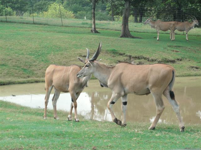 618x457 pixels (57K)