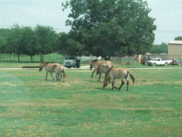 618x457 pixels (62K)