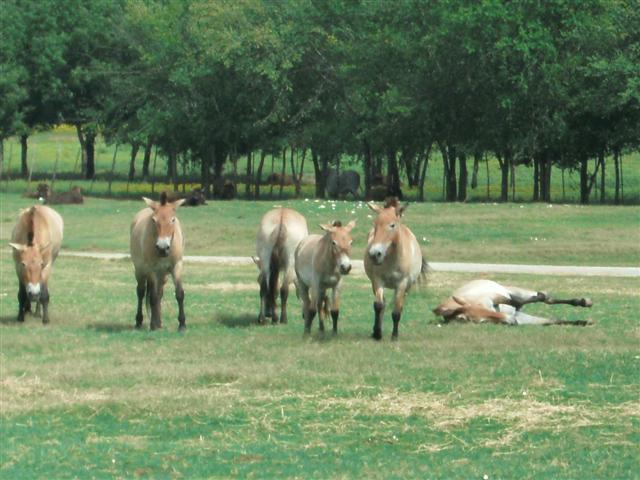 618x457 pixels (61K)