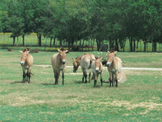 618x457 pixels (59K)