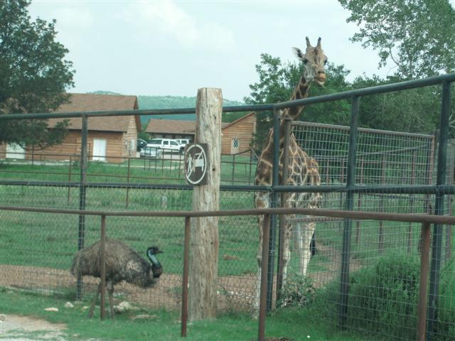 618x457 pixels (64K)