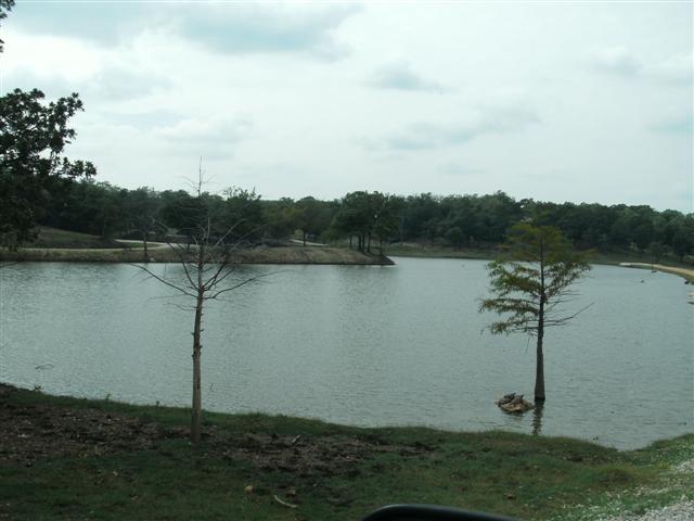 618x457 pixels (41K)