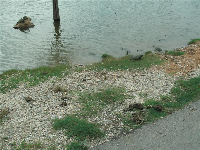 618x457 pixels (81K)