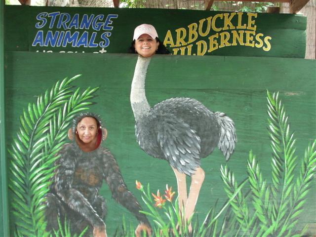 618x457 pixels (66K)