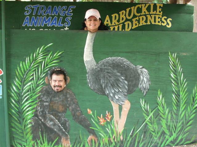 618x457 pixels (66K)