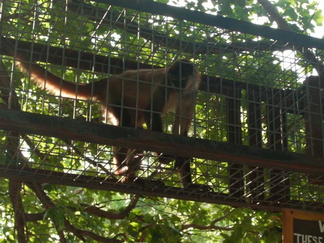 618x457 pixels (74K)