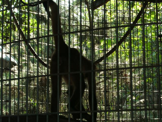 618x457 pixels (93K)