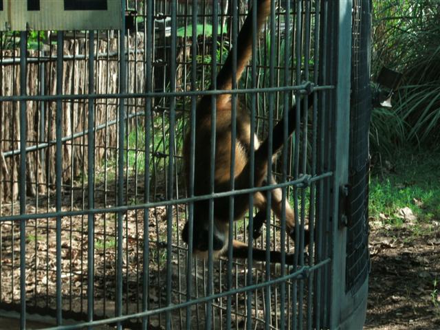 618x457 pixels (82K)