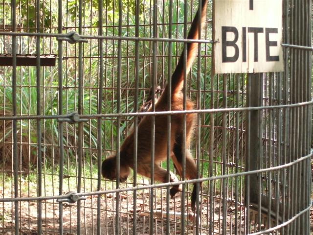 618x457 pixels (90K)