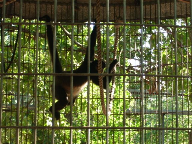 618x457 pixels (93K)