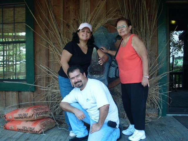 618x457 pixels (62K)