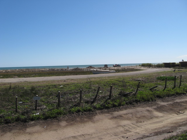 617x456 pixels (95K)