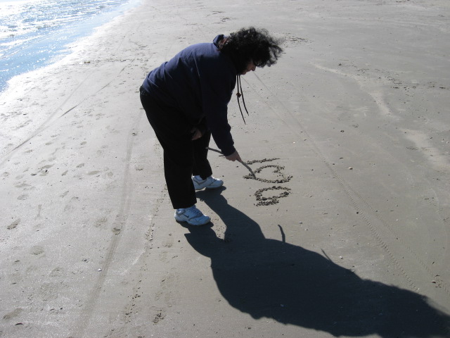 617x456 pixels (98K)