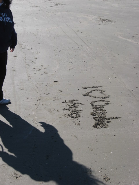 457x616 pixels (92K)