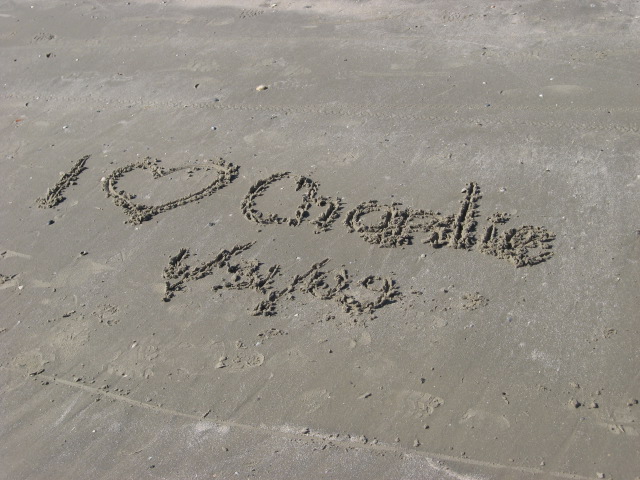 617x456 pixels (118K)