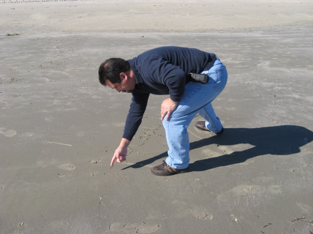 617x456 pixels (93K)