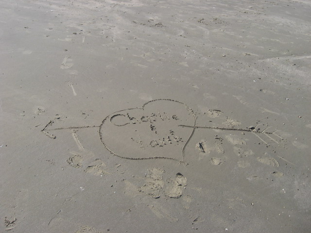 617x456 pixels (91K)