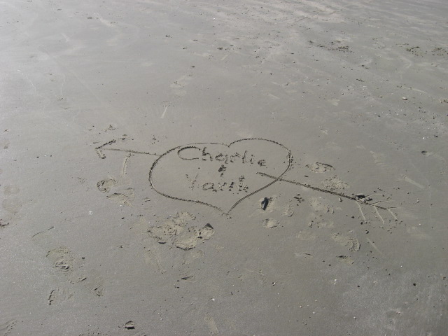 617x456 pixels (89K)