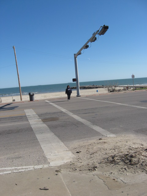 457x616 pixels (86K)