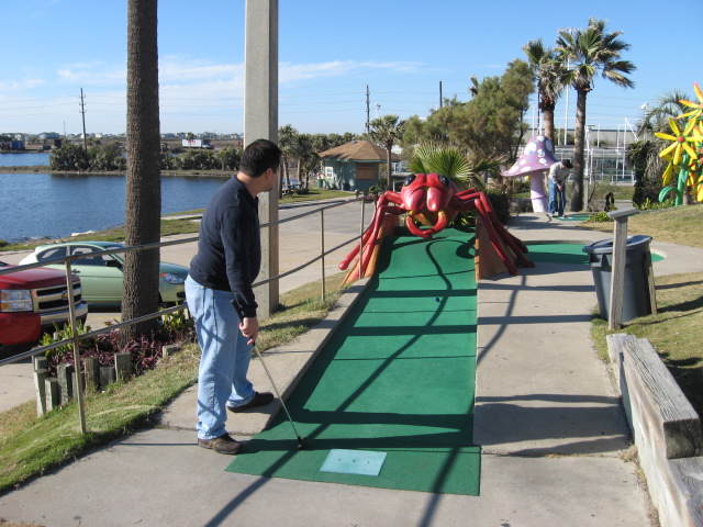 617x456 pixels (138K)