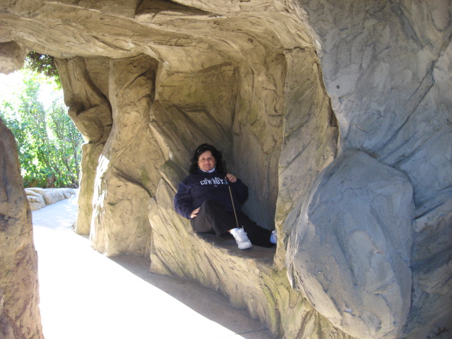 617x456 pixels (118K)