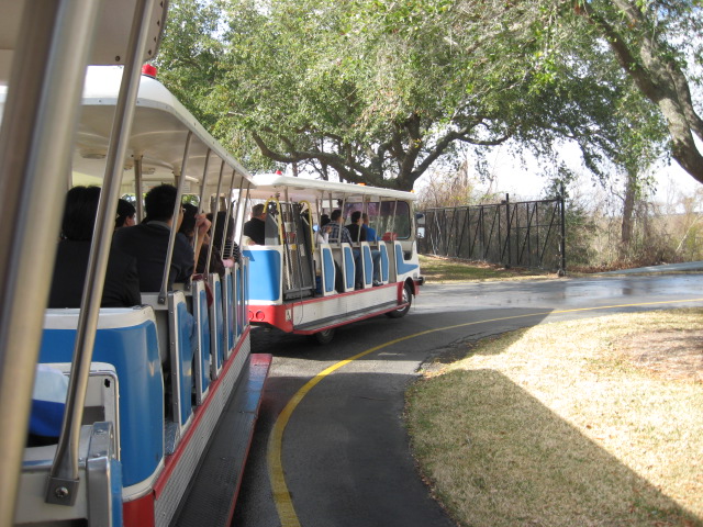 617x456 pixels (160K)