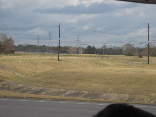 617x456 pixels (78K)