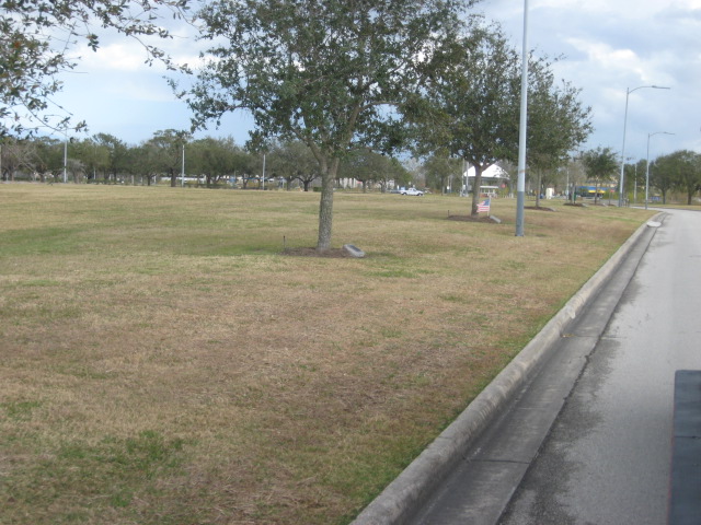 617x456 pixels (133K)