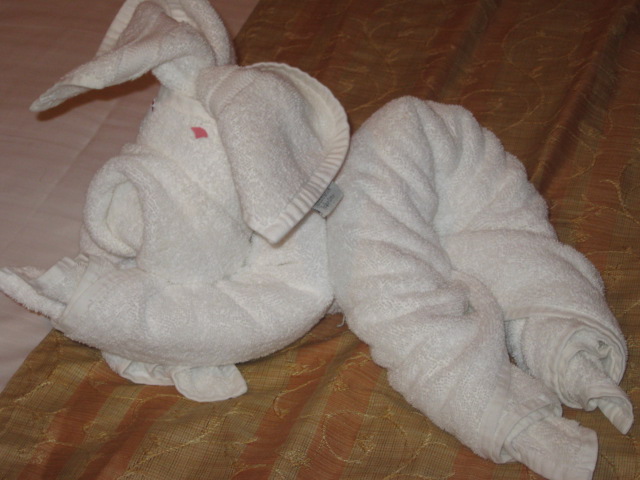 617x456 pixels (91K)