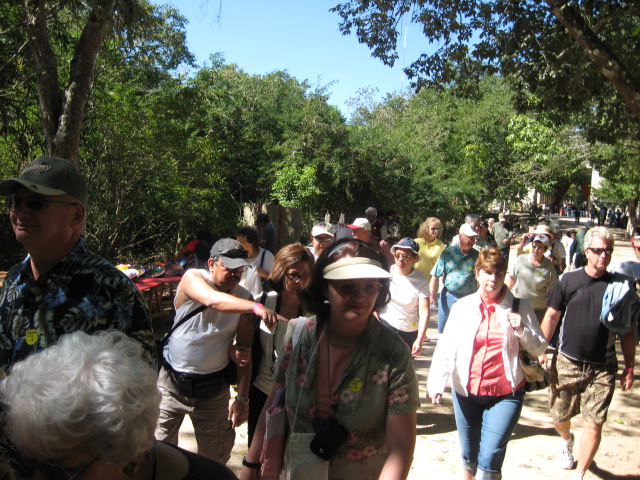 617x456 pixels (174K)