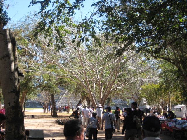 617x456 pixels (197K)