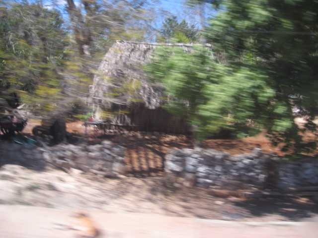 617x456 pixels (116K)