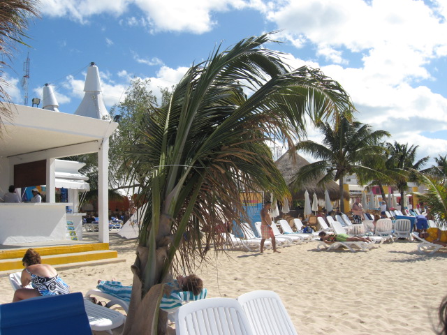 617x456 pixels (145K)