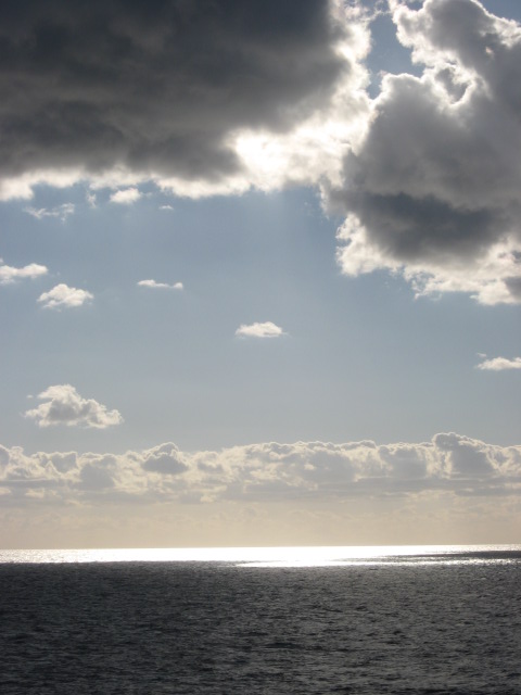 457x616 pixels (73K)