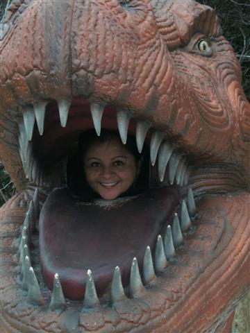 338x457 pixels (35K)