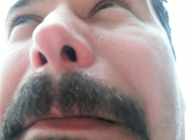 618x457 pixels (27K)