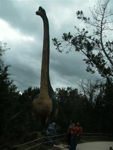 338x457 pixels (32K)