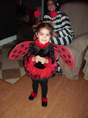 338x457 pixels (33K)